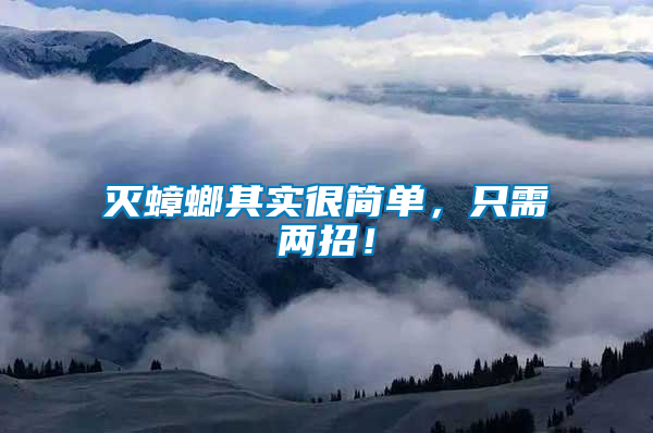 滅蟑螂其實很簡單，只需兩招！