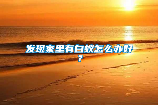 發(fā)現(xiàn)家里有白蟻怎么辦好？
