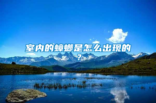 室內(nèi)的蟑螂是怎么出現(xiàn)的？