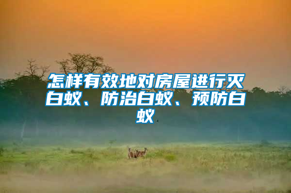 怎樣有效地對(duì)房屋進(jìn)行滅白蟻、防治白蟻、預(yù)防白蟻