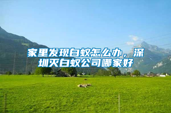家里發(fā)現(xiàn)白蟻怎么辦，深圳滅白蟻公司哪家好