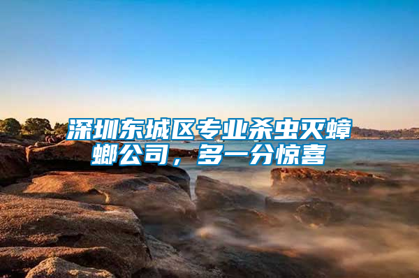 深圳東城區(qū)專業(yè)殺蟲滅蟑螂公司，多一分驚喜
