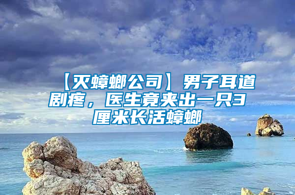 【滅蟑螂公司】男子耳道劇疼，醫(yī)生竟夾出一只3厘米長(zhǎng)活蟑螂