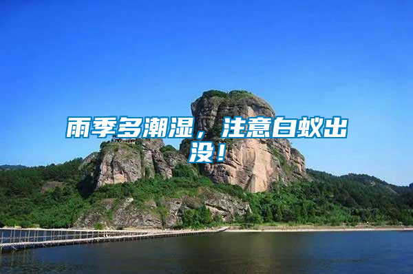 雨季多潮濕，注意白蟻出沒！