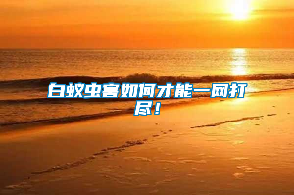 白蟻蟲(chóng)害如何才能一網(wǎng)打盡！