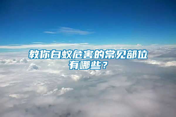 教你白蟻危害的常見部位有哪些？