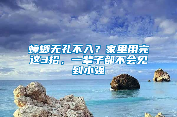 蟑螂無(wú)孔不入？家里用完這3招，一輩子都不會(huì)見(jiàn)到小強(qiáng)