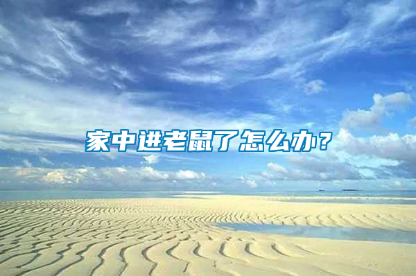 家中進(jìn)老鼠了怎么辦？