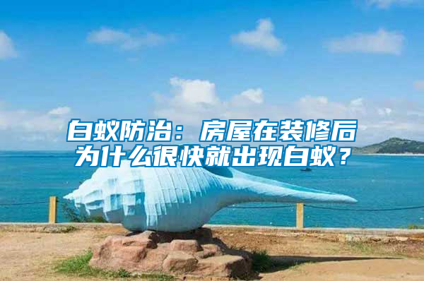 白蟻防治：房屋在裝修后為什么很快就出現(xiàn)白蟻？