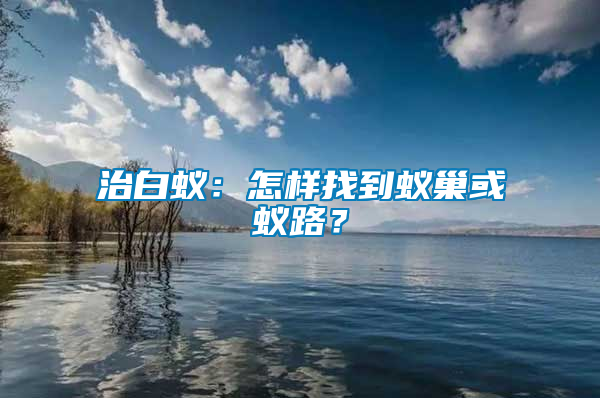 治白蟻：怎樣找到蟻巢或蟻路？