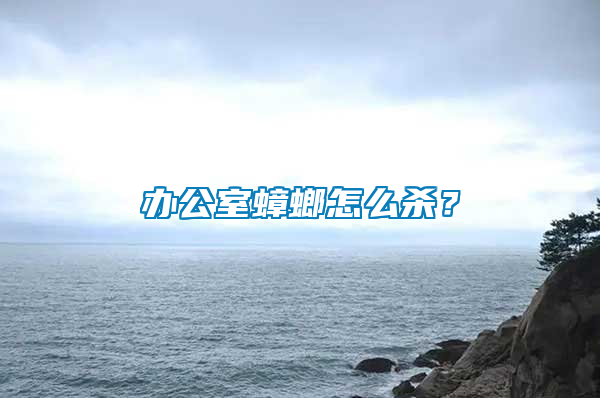 辦公室蟑螂怎么殺？