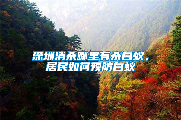 深圳消殺哪里有殺白蟻，居民如何預(yù)防白蟻