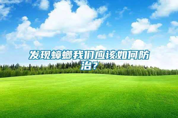 發(fā)現(xiàn)蟑螂我們應(yīng)該如何防治？