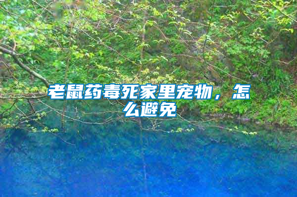 老鼠藥毒死家里寵物，怎么避免