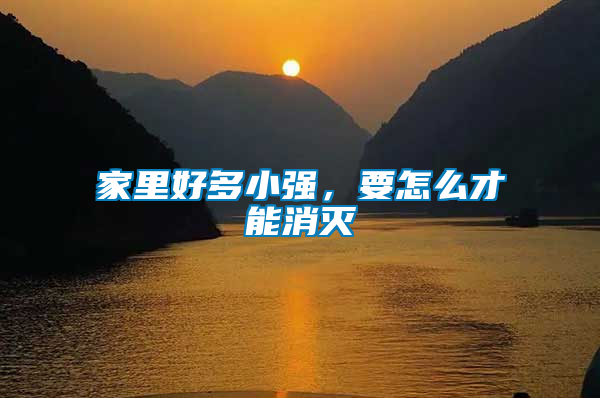 家里好多小強，要怎么才能消滅