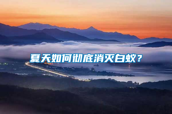 夏天如何徹底消滅白蟻？
