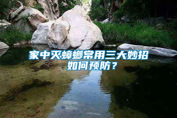 家中滅蟑螂常用三大妙招 如何預(yù)防？