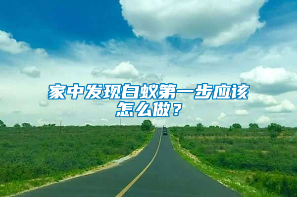 家中發(fā)現(xiàn)白蟻第一步應(yīng)該怎么做？