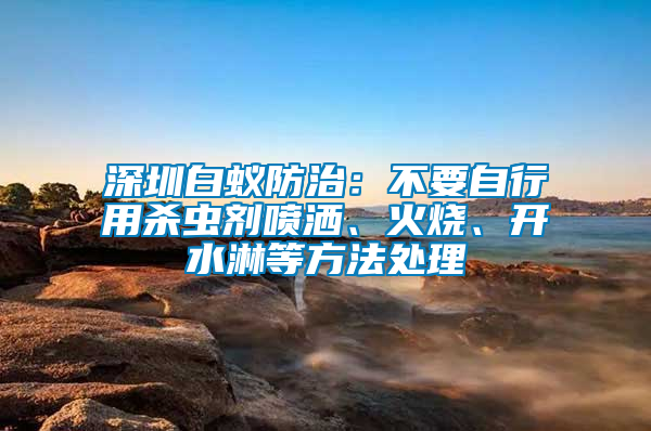 深圳白蟻防治：不要自行用殺蟲劑噴灑、火燒、開水淋等方法處理