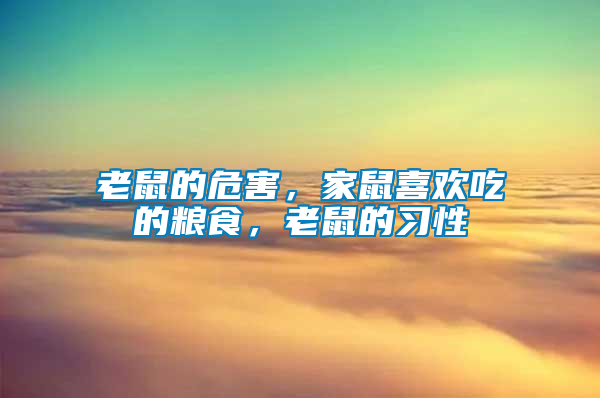 老鼠的危害，家鼠喜歡吃的糧食，老鼠的習性