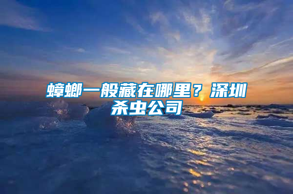 蟑螂一般藏在哪里？深圳殺蟲(chóng)公司