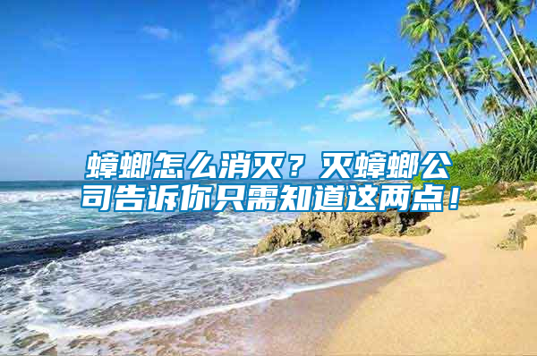 蟑螂怎么消滅？滅蟑螂公司告訴你只需知道這兩點(diǎn)！