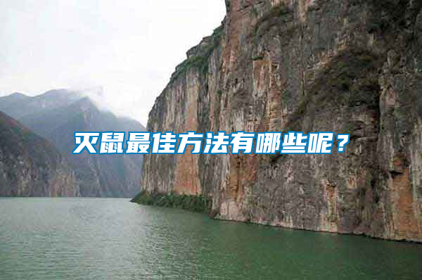 滅鼠最佳方法有哪些呢？