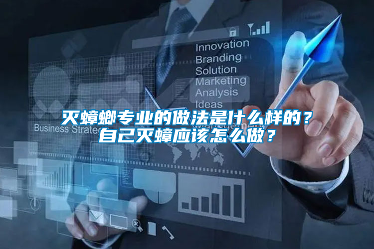 滅蟑螂專業(yè)的做法是什么樣的？自己滅蟑應(yīng)該怎么做？