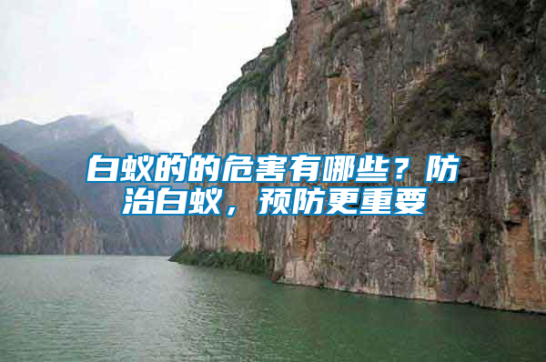 白蟻的的危害有哪些？防治白蟻，預(yù)防更重要