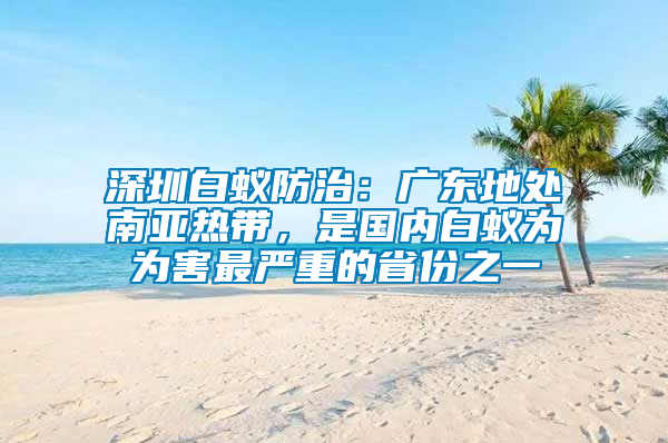 深圳白蟻防治：廣東地處南亞熱帶，是國內(nèi)白蟻為為害最嚴重的省份之一