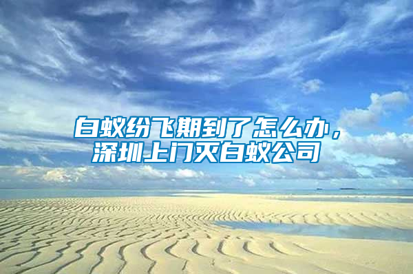 白蟻紛飛期到了怎么辦，深圳上門滅白蟻公司