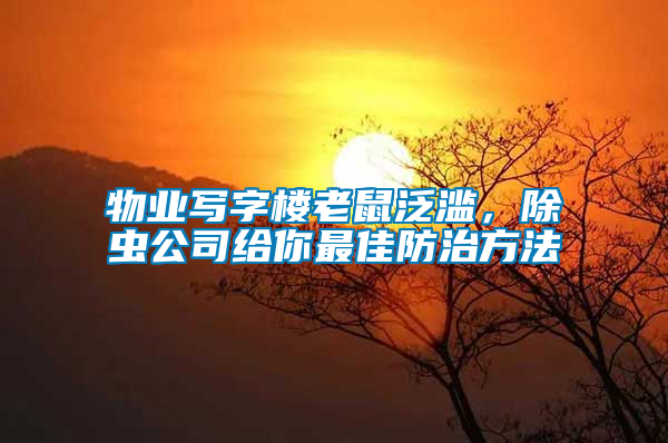 物業(yè)寫(xiě)字樓老鼠泛濫，除蟲(chóng)公司給你最佳防治方法