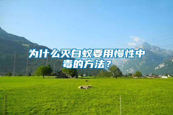 為什么滅白蟻要用慢性中毒的方法？