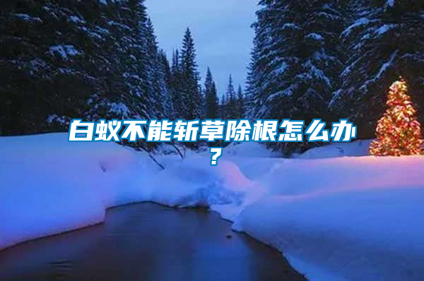 白蟻不能斬草除根怎么辦？