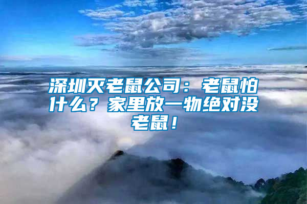 深圳滅老鼠公司：老鼠怕什么？家里放一物絕對沒老鼠！