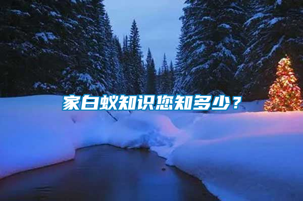 家白蟻知識您知多少？