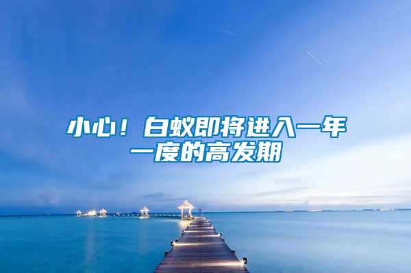 小心！白蟻即將進(jìn)入一年一度的高發(fā)期