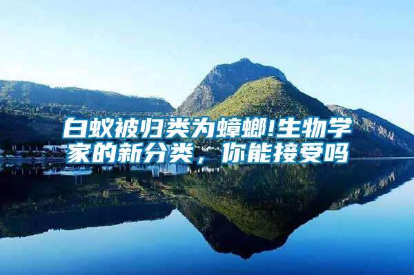 白蟻被歸類為蟑螂!生物學(xué)家的新分類，你能接受嗎