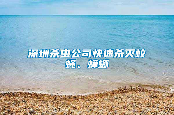深圳殺蟲(chóng)公司快速殺滅蚊蠅、蟑螂