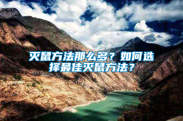 滅鼠方法那么多？如何選擇最佳滅鼠方法？