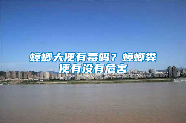 蟑螂大便有毒嗎？蟑螂糞便有沒有危害