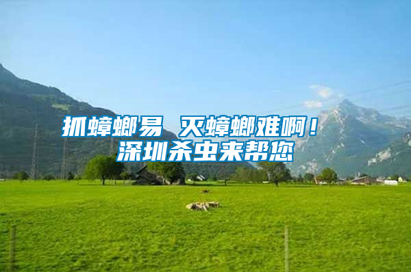 抓蟑螂易 滅蟑螂難??！ 深圳殺蟲來幫您