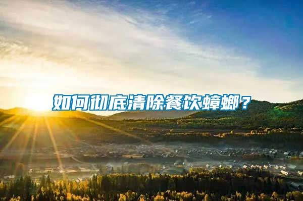 如何徹底清除餐飲蟑螂？