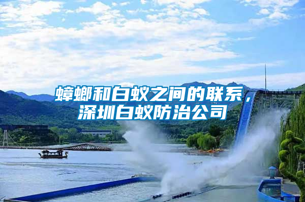 蟑螂和白蟻之間的聯(lián)系，深圳白蟻防治公司
