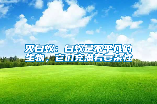 滅白蟻：白蟻是不平凡的生物，它們充滿著復(fù)雜性