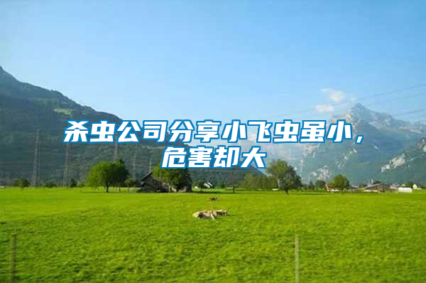 殺蟲(chóng)公司分享小飛蟲(chóng)雖小，危害卻大