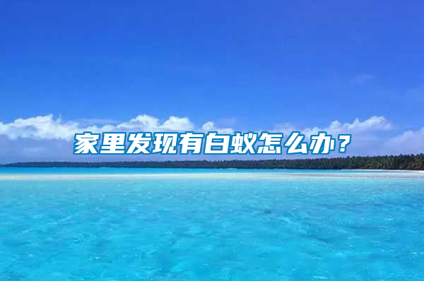 家里發(fā)現(xiàn)有白蟻怎么辦？