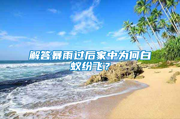 解答暴雨過后家中為何白蟻紛飛？