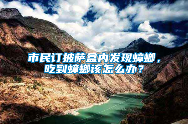 市民訂披薩盒內(nèi)發(fā)現(xiàn)蟑螂，吃到蟑螂該怎么辦？