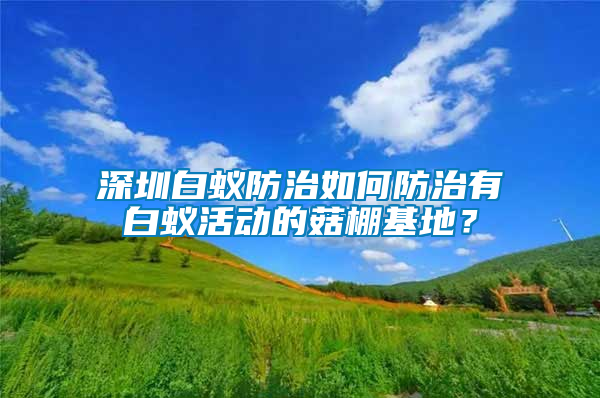 深圳白蟻防治如何防治有白蟻活動的菇棚基地？